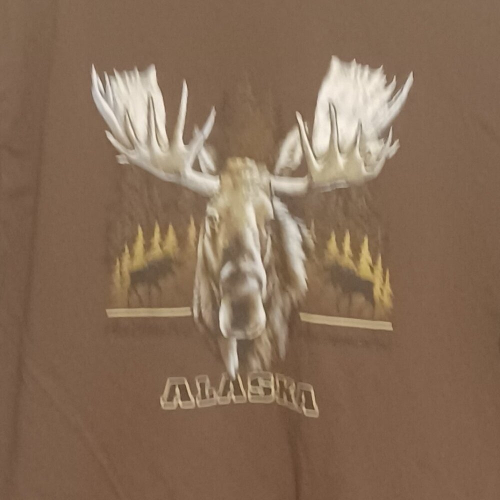 Vintage Alstyle Apparel & Activewear  Alaska Long sleeve Brown Shirt Size Small - Picture 2 of 5
